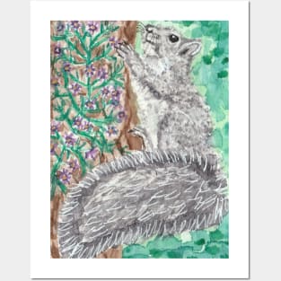 Cute  squirrel watercolor painting Posters and Art